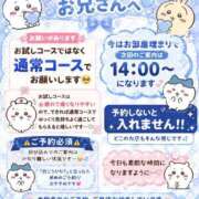 ヒメ日記 2026/07/11 11:58 投稿 ししゃも ワンダフル