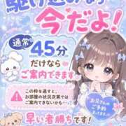ヒメ日記 2026/07/15 10:18 投稿 ししゃも ワンダフル