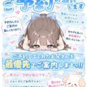 ヒメ日記 2026/07/16 03:18 投稿 ししゃも ワンダフル