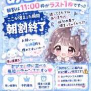 ヒメ日記 2026/07/17 10:19 投稿 ししゃも ワンダフル