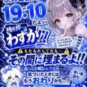 ヒメ日記 2026/07/24 18:08 投稿 ししゃも ワンダフル