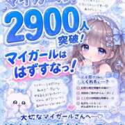 ヒメ日記 2026/07/24 18:16 投稿 ししゃも ワンダフル