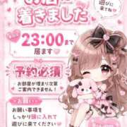 ヒメ日記 2026/08/03 13:28 投稿 ししゃも ワンダフル