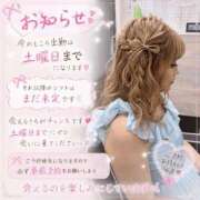 ヒメ日記 2026/08/05 08:08 投稿 ししゃも ワンダフル