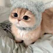 ヒメ日記 2025/10/30 02:41 投稿 もなみ ピンクコレクション大阪