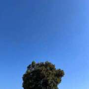 ヒメ日記 2026/01/16 12:09 投稿 優花(ゆか) エリートな人妻たち新宿