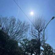 ヒメ日記 2026/03/11 13:09 投稿 優花(ゆか) エリートな人妻たち新宿