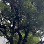 ヒメ日記 2026/09/18 13:29 投稿 優花(ゆか) エリートな人妻たち新宿