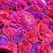 ヒメ日記 2025/11/04 07:10 投稿 ほむら 奥鉄オクテツ東京店（デリヘル市場）