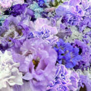 ヒメ日記 2025/11/06 07:05 投稿 ほむら 奥鉄オクテツ東京店（デリヘル市場）