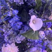 ヒメ日記 2025/11/22 07:55 投稿 ほむら 奥鉄オクテツ東京店（デリヘル市場）