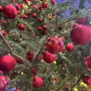 ほむら 水道橋◎様 奥鉄オクテツ東京店（デリヘル市場）