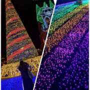 ヒメ日記 2025/12/07 11:35 投稿 ほむら 奥鉄オクテツ東京店（デリヘル市場）