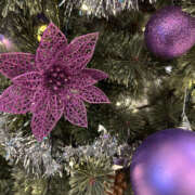 ヒメ日記 2025/12/08 08:10 投稿 ほむら 奥鉄オクテツ東京店（デリヘル市場）