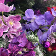 ヒメ日記 2025/12/19 16:05 投稿 ほむら 奥鉄オクテツ東京店（デリヘル市場）