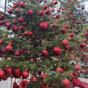 ヒメ日記 2025/12/24 22:45 投稿 ほむら 奥鉄オクテツ東京店（デリヘル市場）