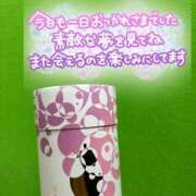 ヒメ日記 2026/02/18 19:41 投稿 カレン 東京エステコレクション 新橋・銀座