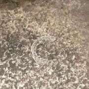 ヒメ日記 2025/11/24 00:04 投稿 かな 完熟ばなな 上野店