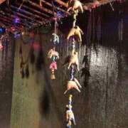 ヒメ日記 2025/11/24 21:24 投稿 かな 完熟ばなな 上野店