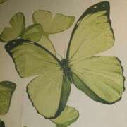 ヒメ日記 2025/12/05 10:44 投稿 かな 完熟ばなな 上野店