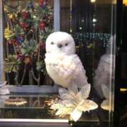 ヒメ日記 2025/12/14 21:34 投稿 かな 完熟ばなな 上野店