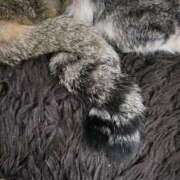 ヒメ日記 2025/11/03 21:06 投稿 ちる ぽっちゃり巨乳素人専門横浜関内伊勢佐木町ちゃんこ