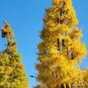 ヒメ日記 2025/11/22 15:06 投稿 ちる ぽっちゃり巨乳素人専門横浜関内伊勢佐木町ちゃんこ