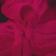 あみ らすと！ PINK ROOM（ピンクルーム）