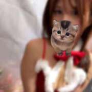 ヒメ日記 2025/11/12 00:18 投稿 リン ハンドリング　亀頭責め専門店