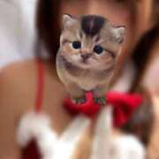 ヒメ日記 2025/11/18 23:07 投稿 リン ハンドリング　亀頭責め専門店