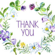 ヒメ日記 2025/12/27 14:56 投稿 熟女 えり ハナミズキ