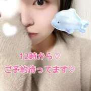 ヒメ日記 2025/11/23 10:22 投稿 すず 錦糸町ちゃんこ