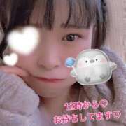 ヒメ日記 2025/11/24 10:42 投稿 すず 錦糸町ちゃんこ