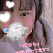 ヒメ日記 2025/11/29 10:42 投稿 すず 錦糸町ちゃんこ