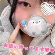 ヒメ日記 2026/02/18 12:22 投稿 すず 錦糸町ちゃんこ