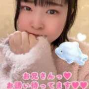 ヒメ日記 2026/02/20 12:31 投稿 すず 錦糸町ちゃんこ