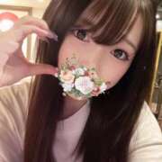 ヒメ日記 2025/11/03 15:47 投稿 ゆう Number Five 品川（シンデレラグループ）