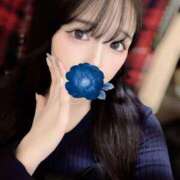 ヒメ日記 2025/11/17 17:19 投稿 ゆう Number Five 品川（シンデレラグループ）