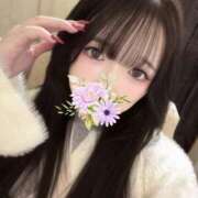 ヒメ日記 2025/11/27 16:16 投稿 ゆう Number Five 品川（シンデレラグループ）