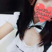 ヒメ日記 2025/11/04 04:53 投稿 めぐ いわき小名浜ちゃんこ