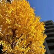 そうか 昨日の御礼 奥鉄オクテツ神奈川店（デリヘル市場グループ）