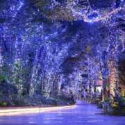 ヒメ日記 2025/12/18 02:55 投稿 ゆうみ 僕のぽっちゃり伝説