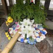 ヒメ日記 2026/02/05 07:15 投稿 ゆうみ 僕のぽっちゃり伝説