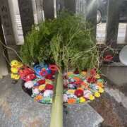 ヒメ日記 2026/02/08 09:08 投稿 ゆうみ 僕のぽっちゃり伝説