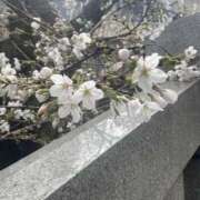 ヒメ日記 2026/03/24 10:05 投稿 ゆうみ 僕のぽっちゃり伝説