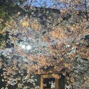 ヒメ日記 2026/03/31 00:15 投稿 ゆうみ 僕のぽっちゃり伝説