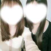 ヒメ日記 2025/12/12 23:46 投稿 ひな かりんと秋葉原