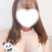 ヒメ日記 2025/12/28 16:46 投稿 ひな かりんと秋葉原