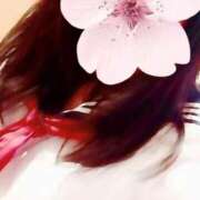 ヒメ日記 2025/11/21 11:30 投稿 おと 天使のゆびさき 船橋店(カサブランカグループ)