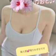 ヒメ日記 2025/11/28 13:34 投稿 おと 天使のゆびさき 船橋店(カサブランカグループ)